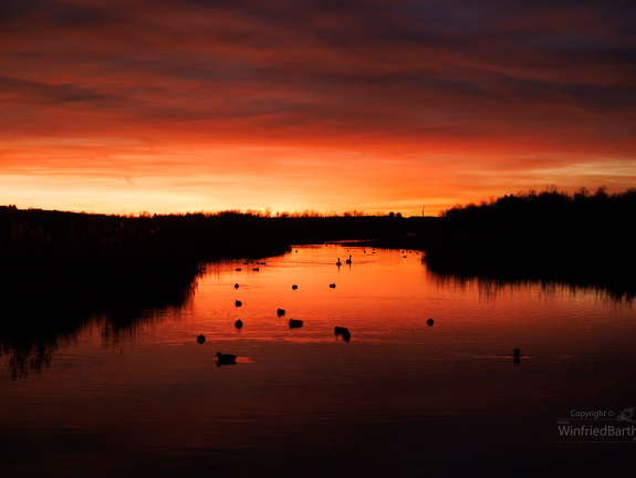 Federsee im Abendrot